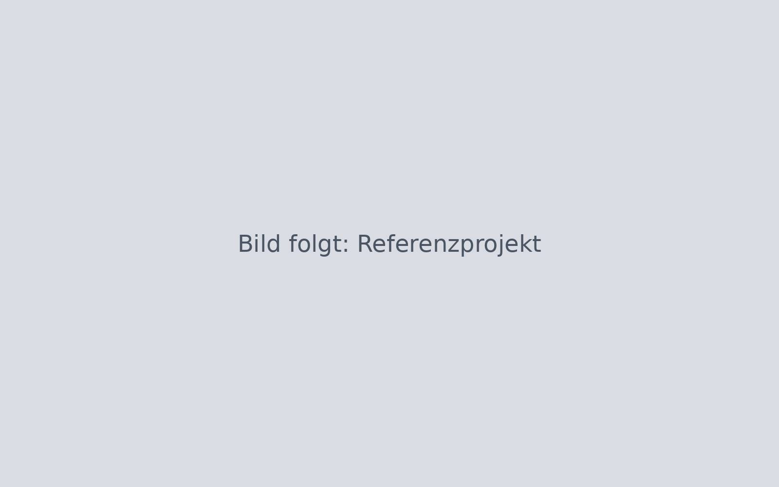 Projektbild 1